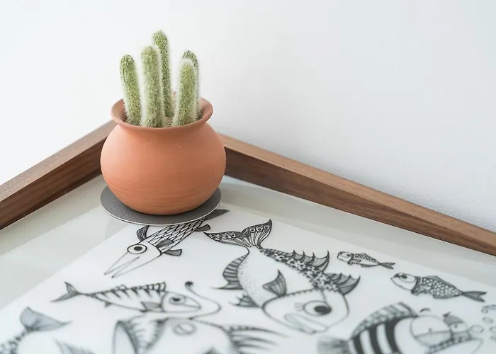 Apartamento Guestready - Premium - *